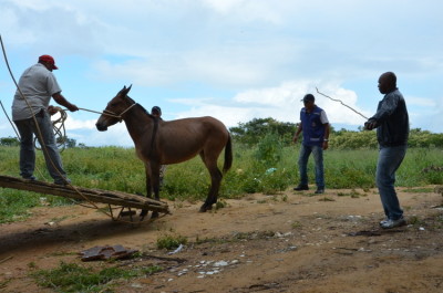 Foto: Blog do Anderson