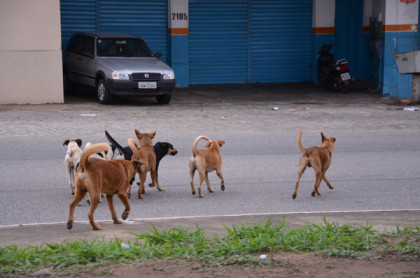 Fotos: Blog do Anderson