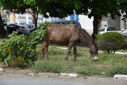 Foto: BLOG DO ANDERSON