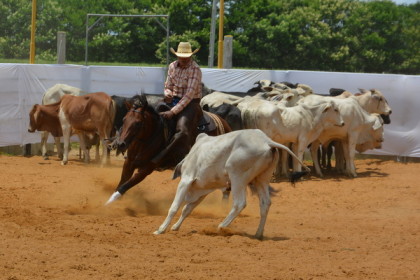 Fotos: BLOG DO ANDERSON