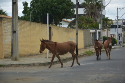 Fotos: BLOG DO ANDERSON