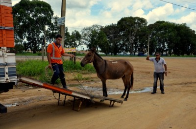 Fotos: Blog do Anderson